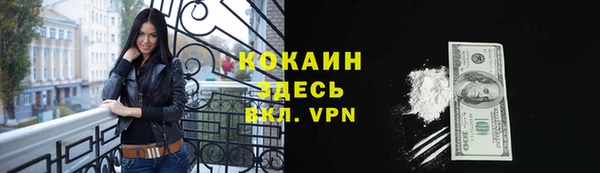 прущая мука Арсеньев